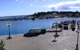 Webcam-Vorschaubild Hals - Marina