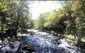 Webkamera előnézeti kép Caledonia - Mersey River Chalets