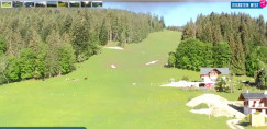 Webcam-Vorschaubild Gosau - Dachstein West - Zwieselalm 