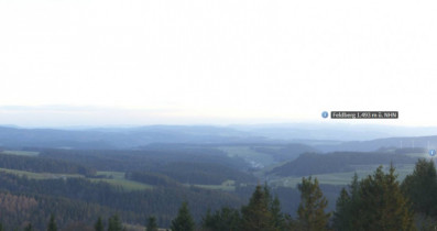 Webkamera előnézeti kép Furtwangen - Schwarzwald